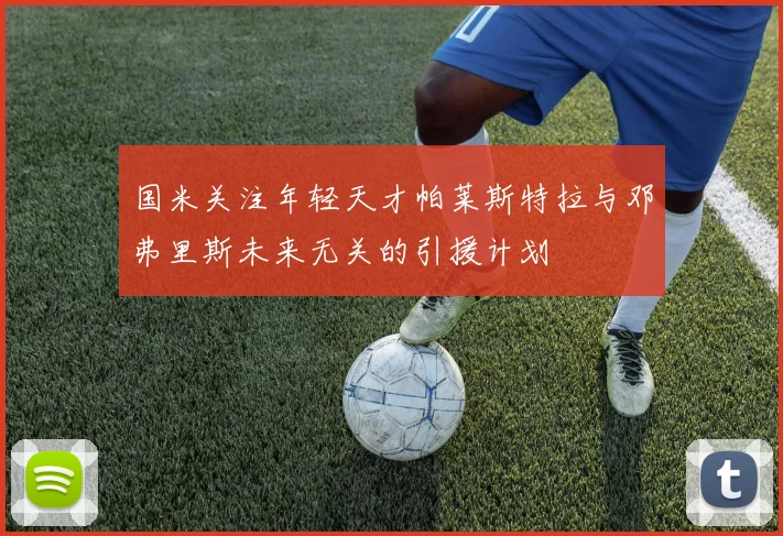 国米关注年轻天才帕莱斯特拉与邓弗里斯未来无关的引援计划